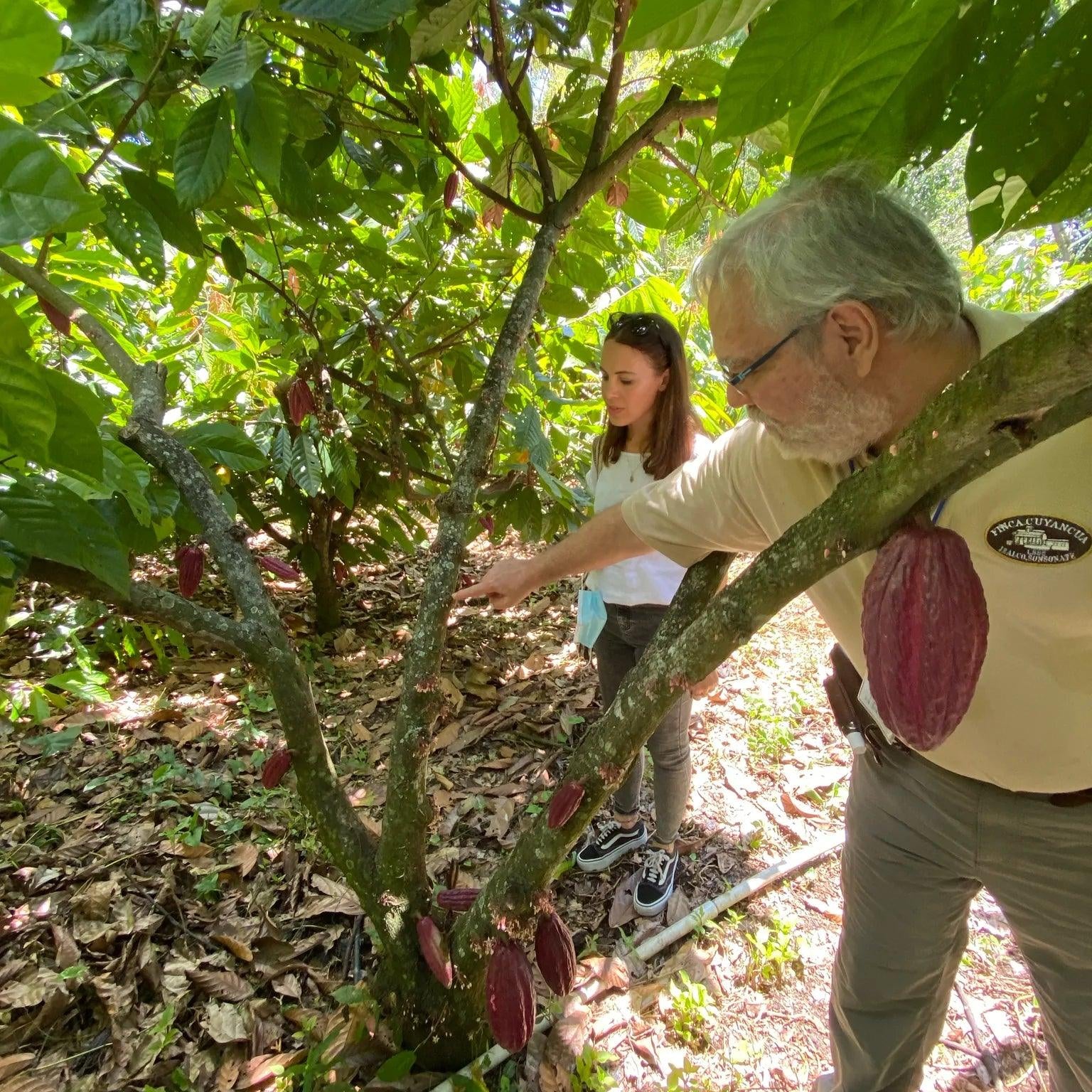 CUYANCÙA 72% · EL SALVADOR - Biotiful Brands