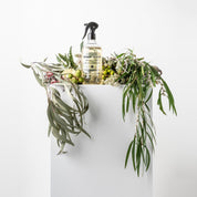 SPRAY DEZINFECTANT DE SUPRAFETE - Biotiful Brands